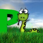 Python kvíz pro začátečníky