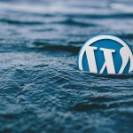 WordPress pluginy a šablony